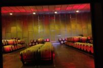 bodegas-cavas-06